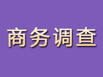 麦积区商务调查